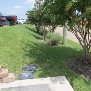 IMG_9715_original